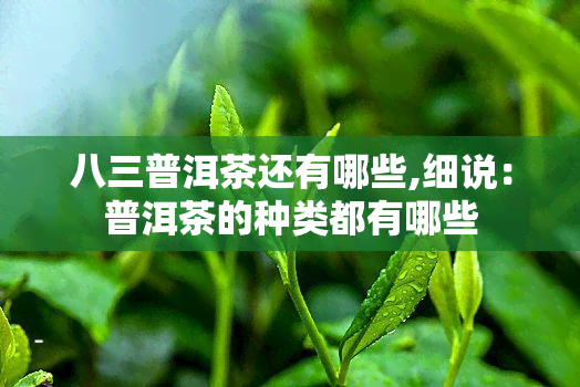 八三普洱茶还有哪些,细说：普洱茶的种类都有哪些