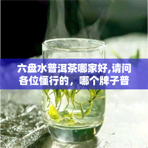 六盘水普洱茶哪家好,请问各位懂行的，哪个牌子普洱茶质量好