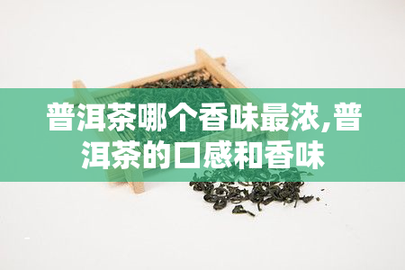 普洱茶哪个香味最浓,普洱茶的口感和香味