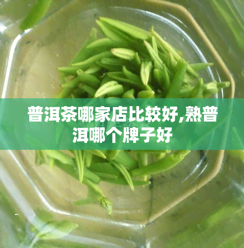 普洱茶哪家店比较好,熟普洱哪个牌子好