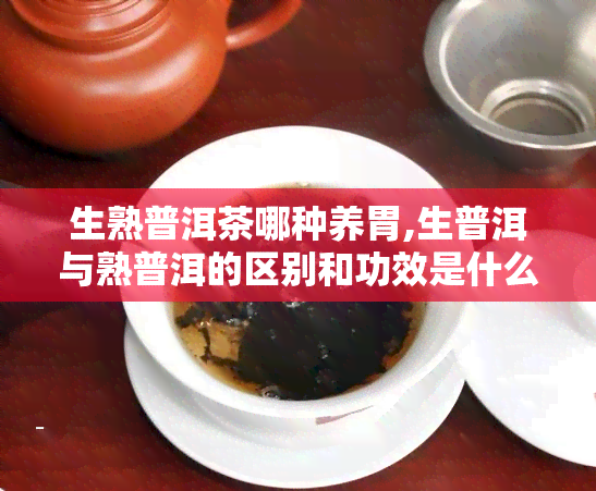 生熟普洱茶哪种养胃,生普洱与熟普洱的区别和功效是什么