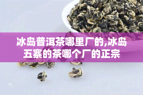 冰岛普洱茶哪里厂的,冰岛五寨的茶哪个厂的正宗