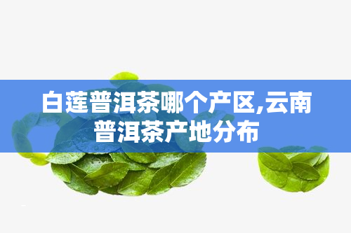 白莲普洱茶哪个产区,云南普洱茶产地分布