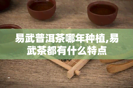 易武普洱茶哪年种植,易武茶都有什么特点