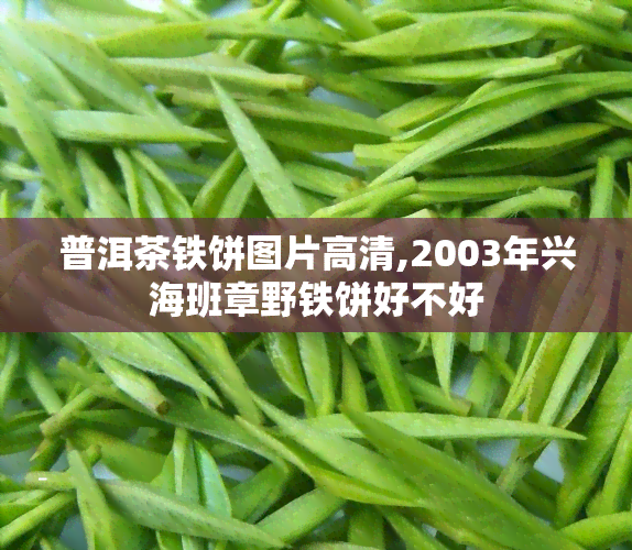 普洱茶铁饼图片高清,2003年兴海班章野铁饼好不好