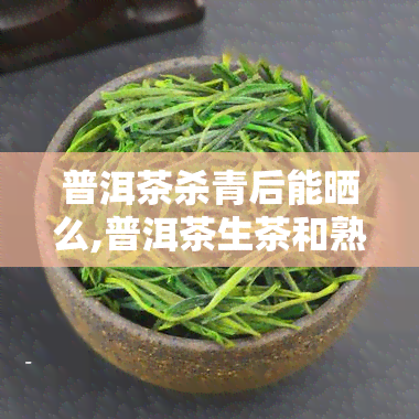 普洱茶杀青后能晒么,普洱茶生茶和熟茶的区别方法实用