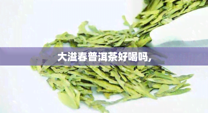 大溢春普洱茶好喝吗,