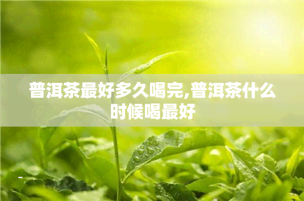 普洱茶更好多久喝完,普洱茶什么时候喝更好