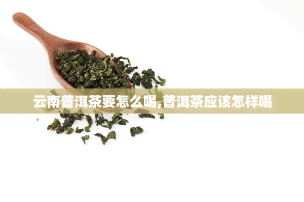 云南普洱茶要怎么喝,普洱茶应该怎样喝