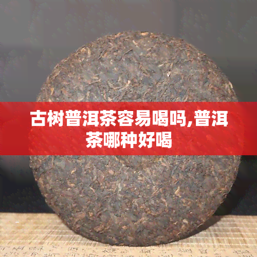 古树普洱茶容易喝吗,普洱茶哪种好喝