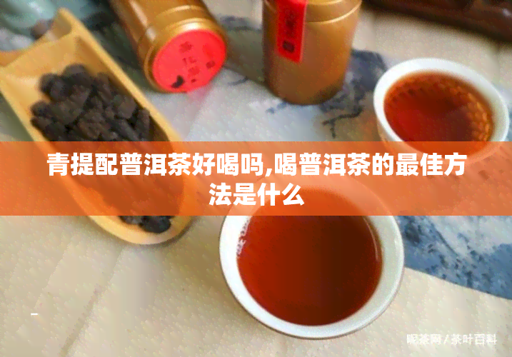 青提配普洱茶好喝吗,喝普洱茶的更佳方法是什么