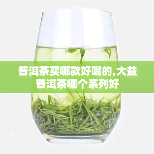 普洱茶买哪款好喝的,大益普洱茶哪个系列好