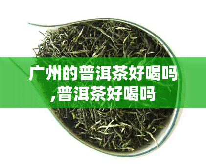 广州的普洱茶好喝吗,普洱茶好喝吗