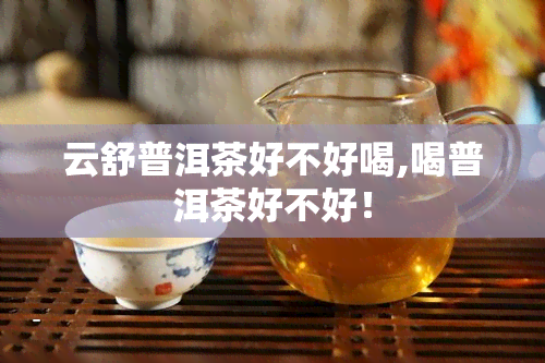 云舒普洱茶好不好喝,喝普洱茶好不好！