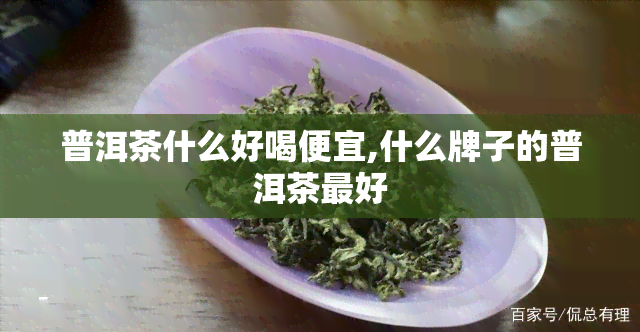 普洱茶什么好喝便宜,什么牌子的普洱茶更好