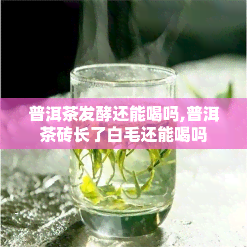 普洱茶发酵还能喝吗,普洱茶砖长了白毛还能喝吗