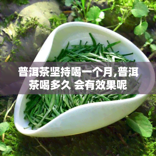 普洱茶坚持喝一个月,普洱茶喝多久 会有效果呢