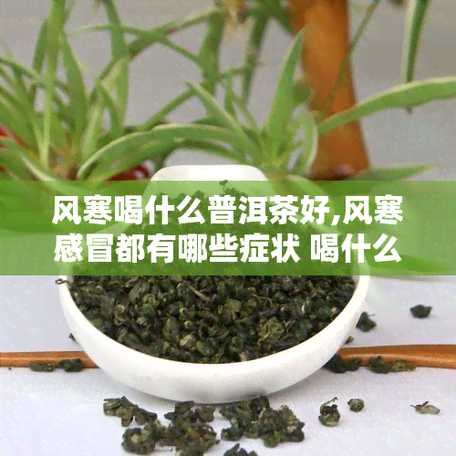 风寒喝什么普洱茶好,风寒感冒都有哪些症状 喝什么茶好