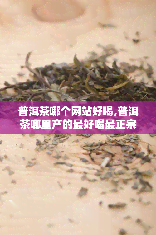 普洱茶哪个网站好喝,普洱茶哪里产的更好喝最正宗