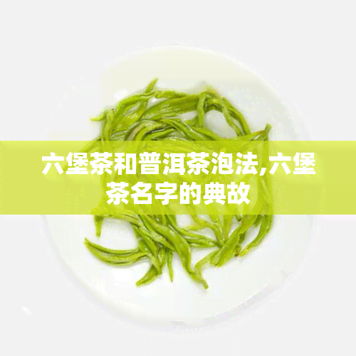 六堡茶和普洱茶泡法,六堡茶名字的典故