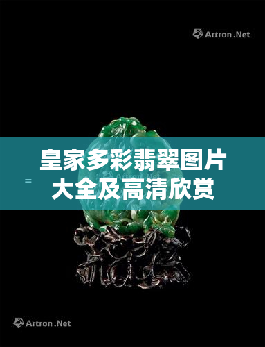 皇家多彩翡翠图片大全及高清欣赏