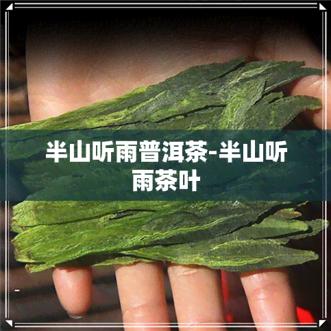 半山听雨普洱茶-半山听雨茶叶