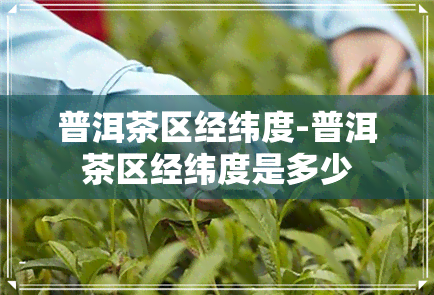 普洱茶区经纬度-普洱茶区经纬度是多少