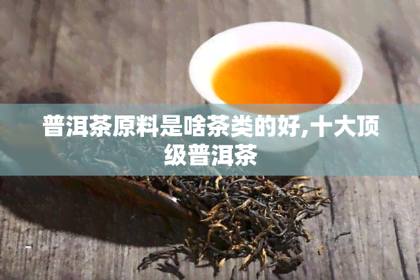 普洱茶原料是啥茶类的好,十大顶级普洱茶