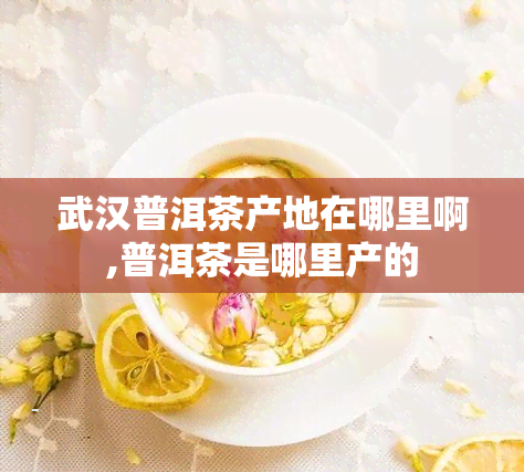 武汉普洱茶产地在哪里啊,普洱茶是哪里产的