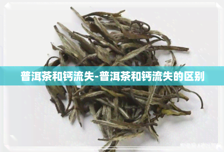 普洱茶和钙流失-普洱茶和钙流失的区别