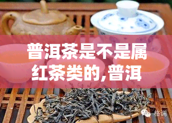 普洱茶是不是属红茶类的,普洱是红茶吗