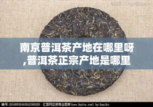 南京普洱茶产地在哪里呀,普洱茶正宗产地是哪里