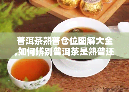 普洱茶熟普仓位图解大全,如何辨别普洱茶是熟普还是生普