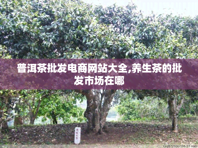 普洱茶批发电商网站大全,养生茶的批发市场在哪