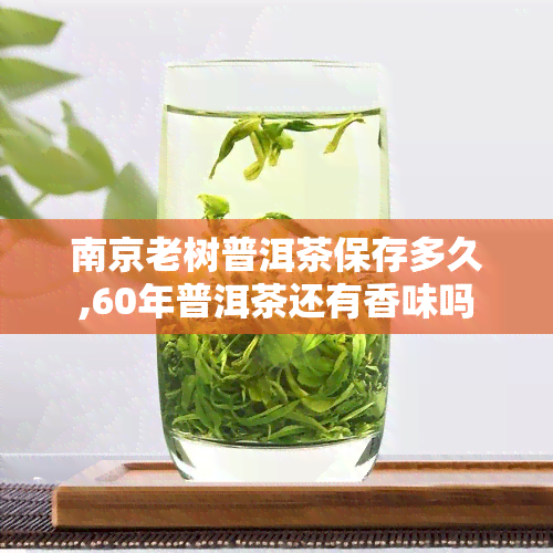 南京老树普洱茶保存多久,60年普洱茶还有香味吗