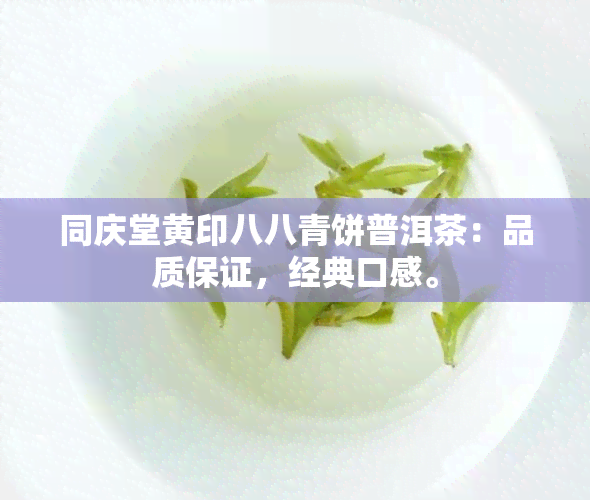 同庆堂黄印八八青饼普洱茶：品质保证，经典口感。