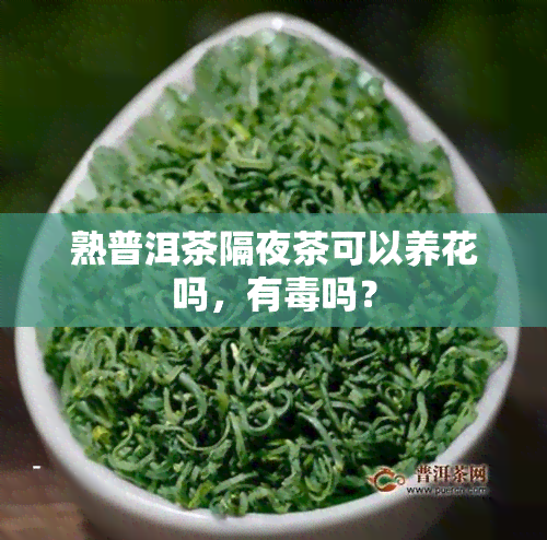 熟普洱茶隔夜茶可以养花吗，有吗？