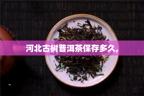 河北古树普洱茶保存多久,