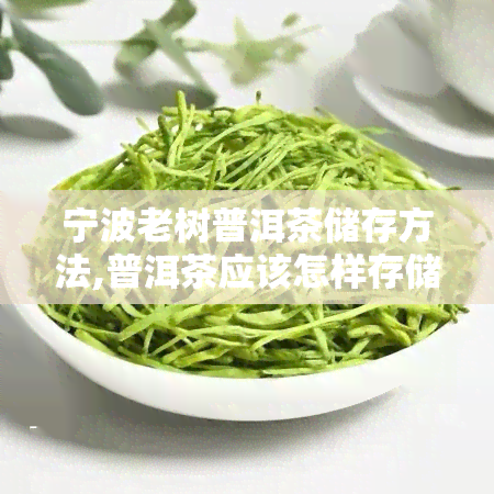 宁波老树普洱茶储存方法,普洱茶应该怎样存储