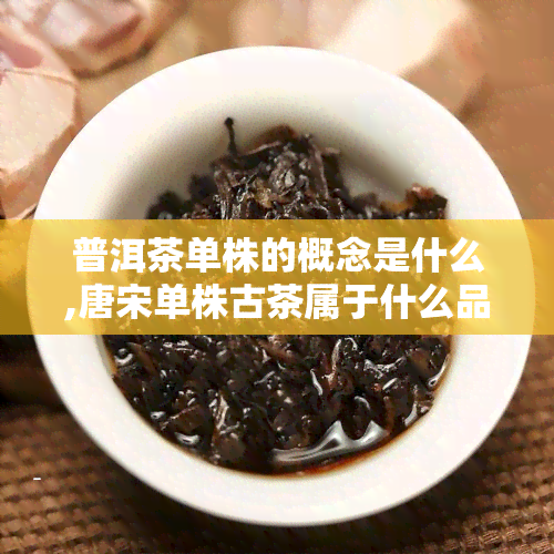 普洱茶单株的概念是什么,唐宋单株古茶属于什么品类的茶