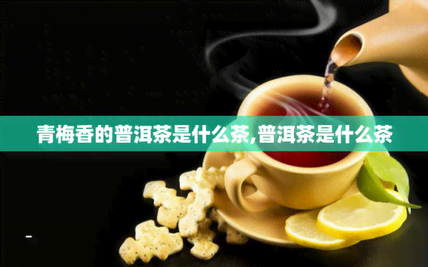 青梅香的普洱茶是什么茶,普洱茶是什么茶