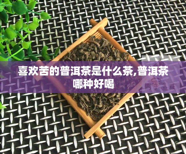 喜欢苦的普洱茶是什么茶,普洱茶哪种好喝