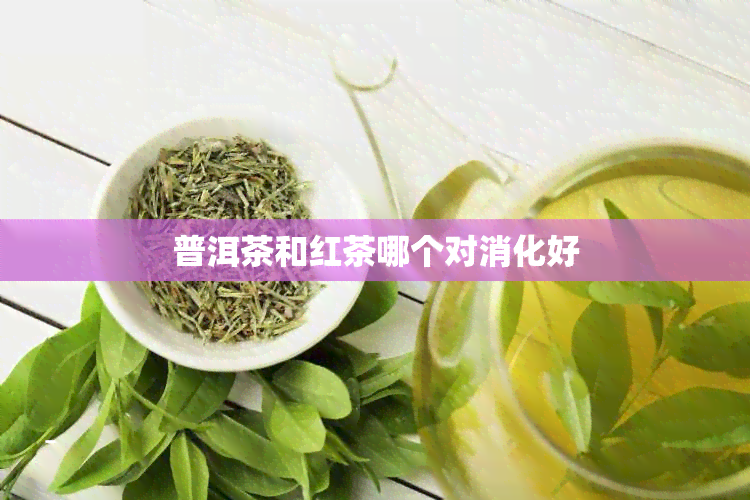 普洱茶和红茶哪个对消化好