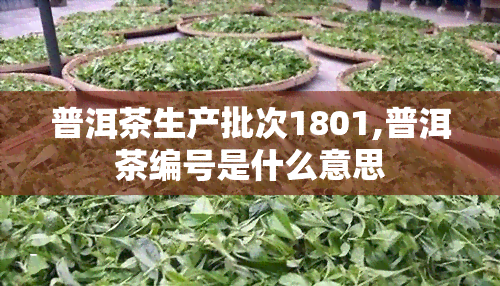 普洱茶生产批次1801,普洱茶编号是什么意思