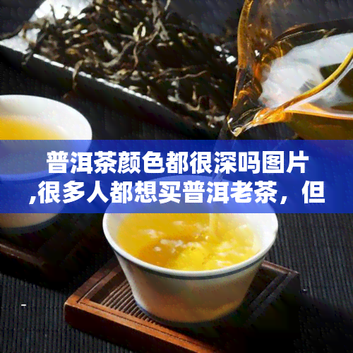 普洱茶颜色都很深吗图片,很多人都想买普洱老茶，但是真正的普洱老茶应该如何分辨呢