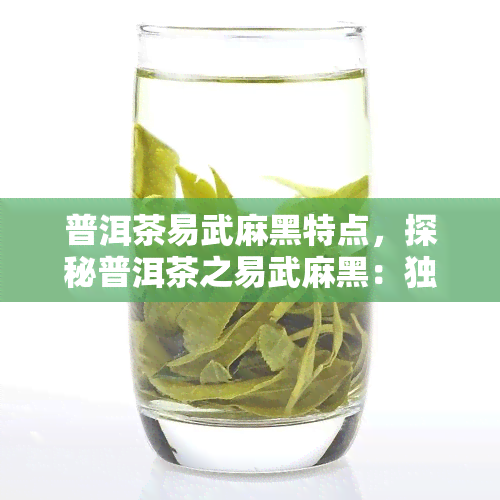 普洱茶易武麻黑特点，探秘普洱茶之易武麻黑：独特的口感与品质特点