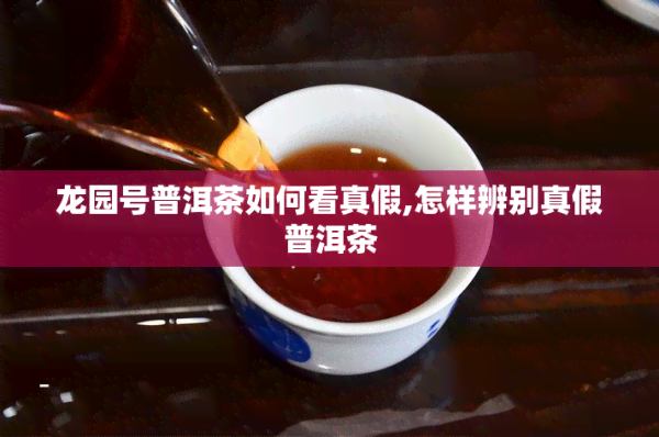 龙园号普洱茶如何看真假,怎样辨别真假普洱茶