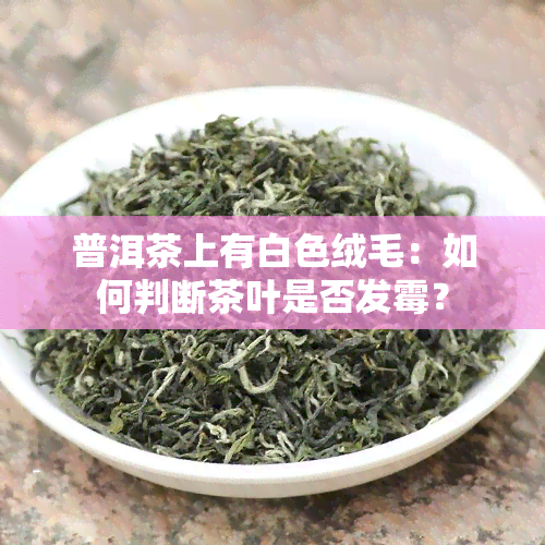 普洱茶上有白色绒毛：如何判断茶叶是否发霉？