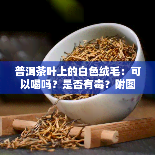 普洱茶叶上的白色绒毛：可以喝吗？是否有？附图解析