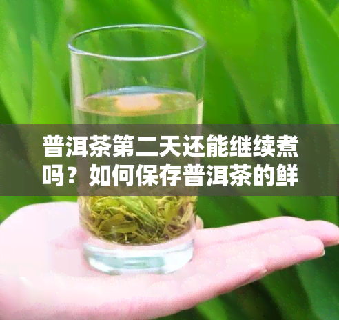 普洱茶第二天还能继续煮吗？如何保存普洱茶的鲜味和品质？